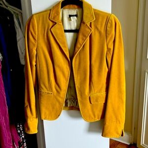 J. CREW ECOLE Gold Velvet Single Hook Closure